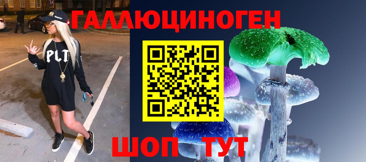 Псилоцибиновые грибы ЛСД Городец