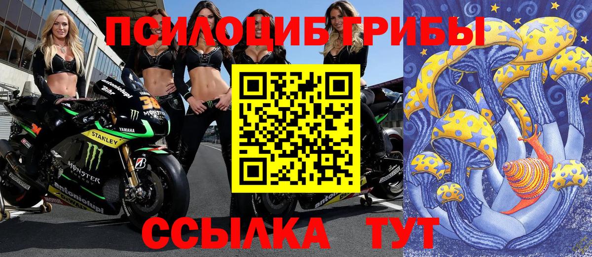 Галлюциногенные грибы прущие грибы  Псилоцибиновые грибы Psilocybine cubensis  как найти закладки  Городец  Вход с VPN 